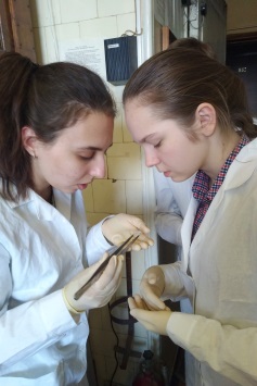 pupils looking at template pupils looking at template